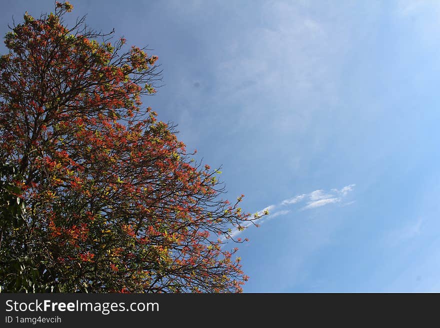 Such a bright autumn background