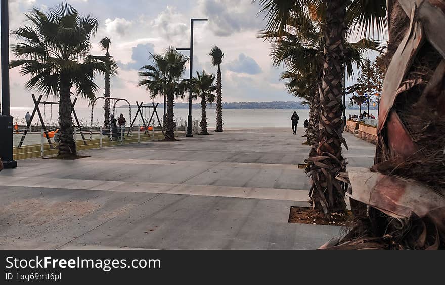 evening Turkish beach in Istanbul, palm