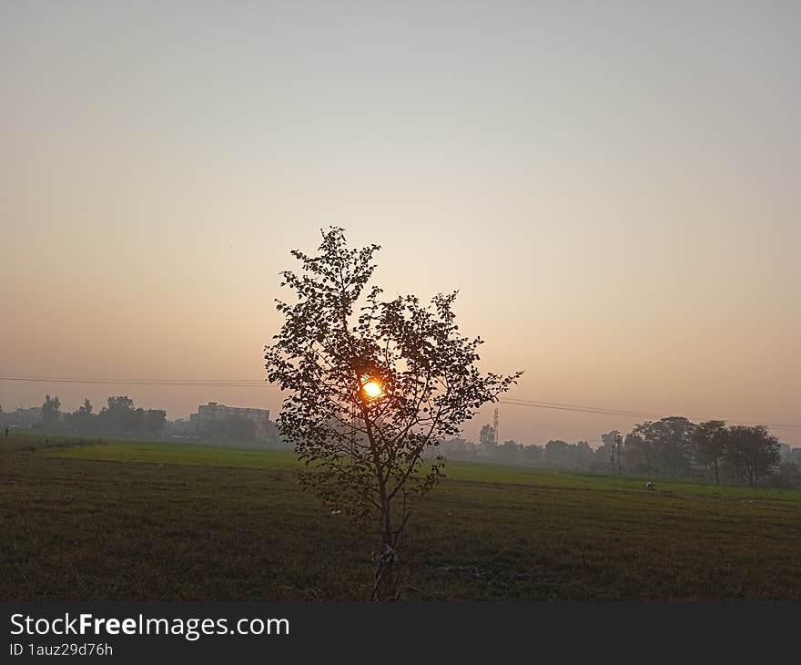 Sunset In Evening, Nature Photography, Past Memories, December