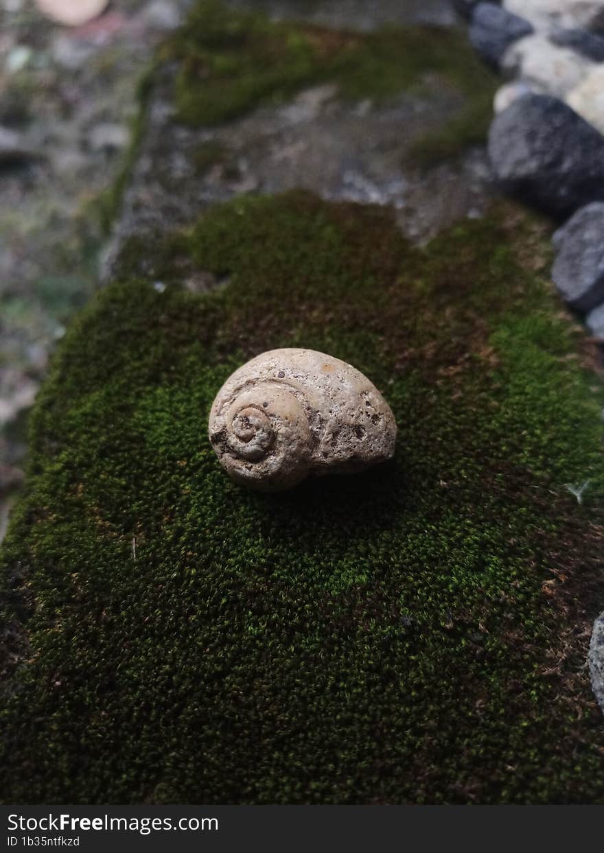 unique stone with natural texture