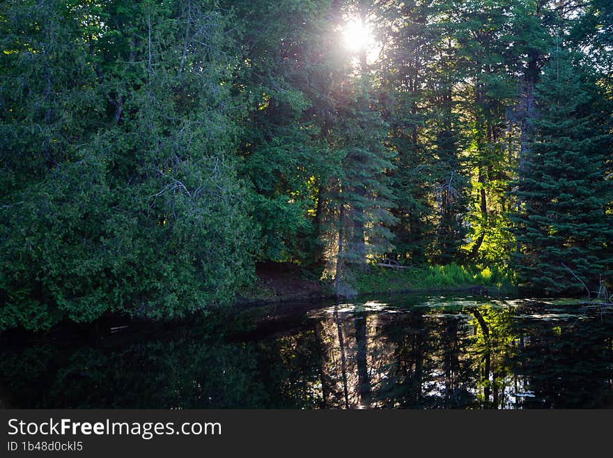 Sunset In Morning Forest & X28 Ontario, Canada& X29