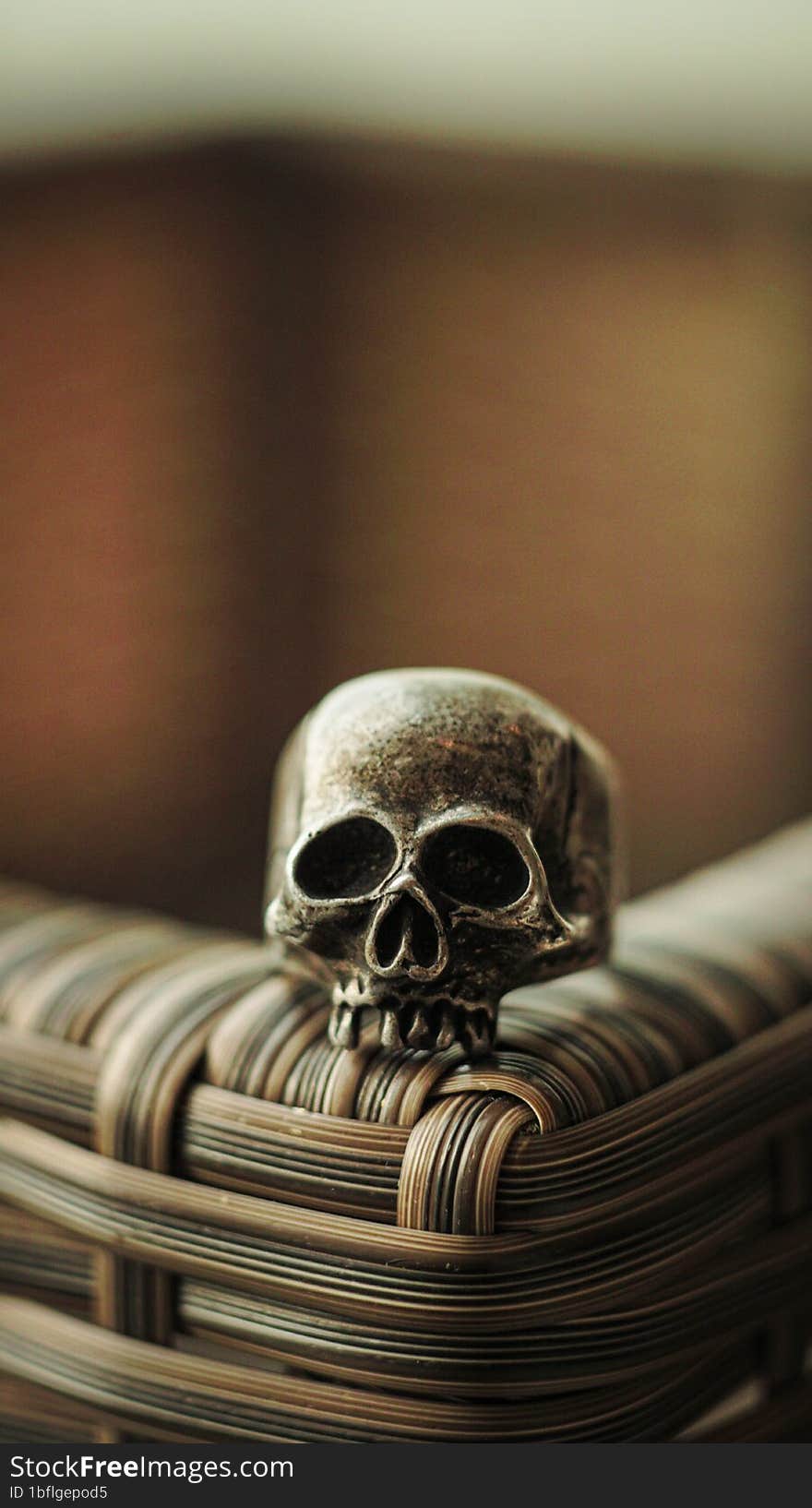 brown ring with skull head.hand jewelry