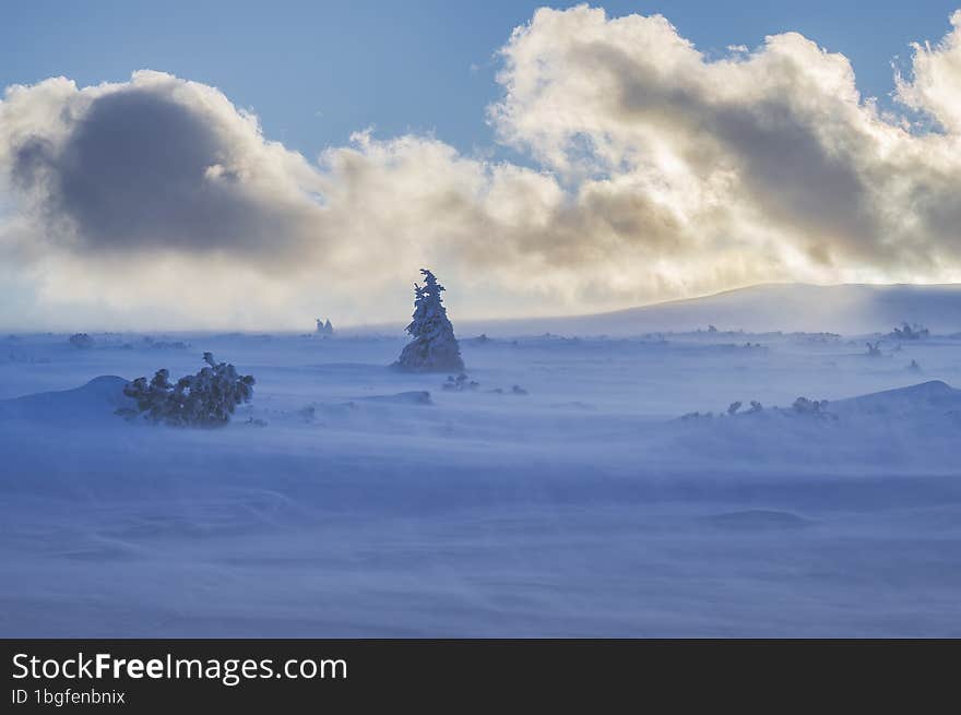 snowstorm in the Polish Sudetes