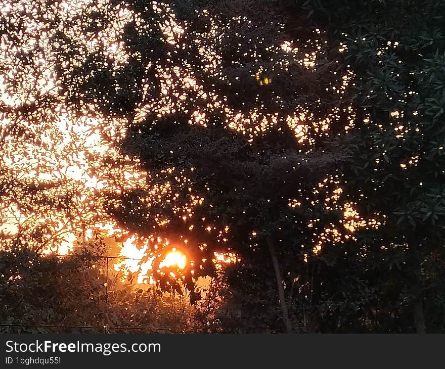 Sun set view in evening time from garden