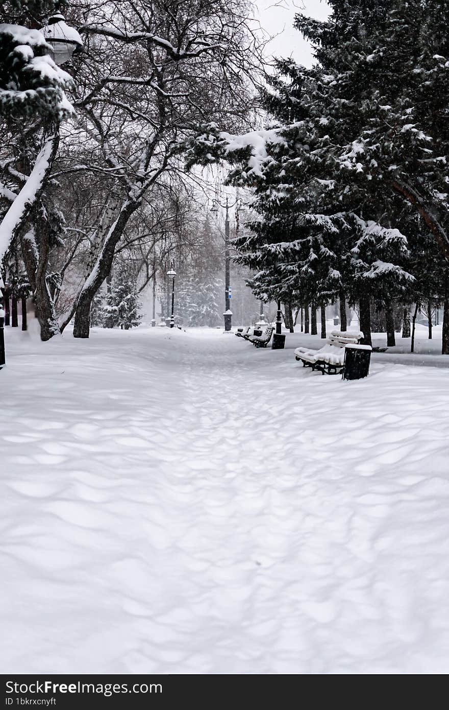 a park strewn with snow