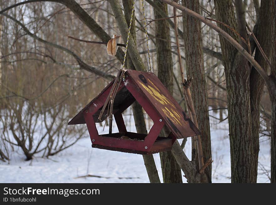 feeder-support the birds all year round