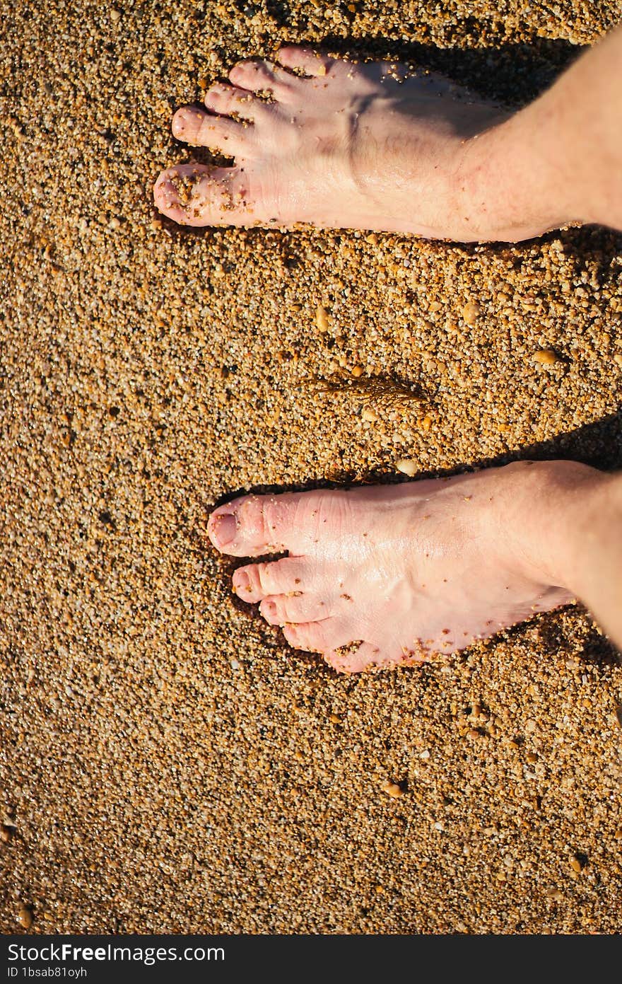 Men s feet are standing on a sandy beach. Crystal water on the seashore.