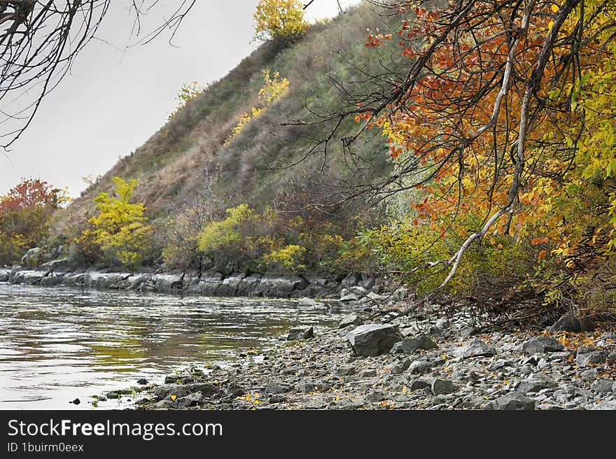 Autumn Landscape With Trees Out Of City