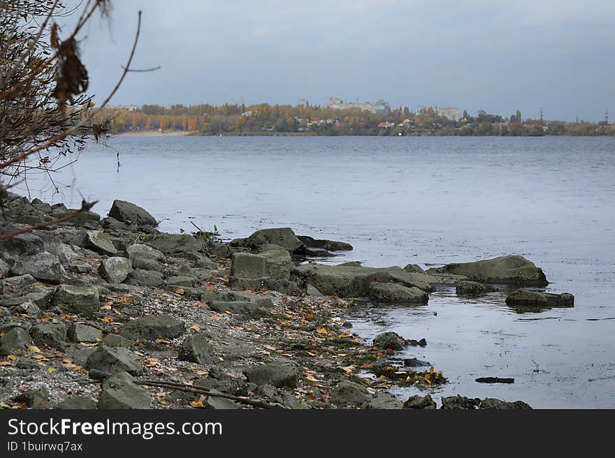 Autumn Landscape With Trees Out Of City