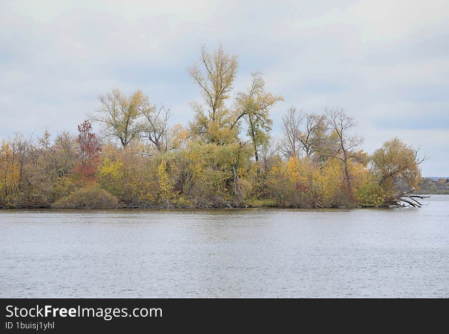 autumn landscape with trees out of city