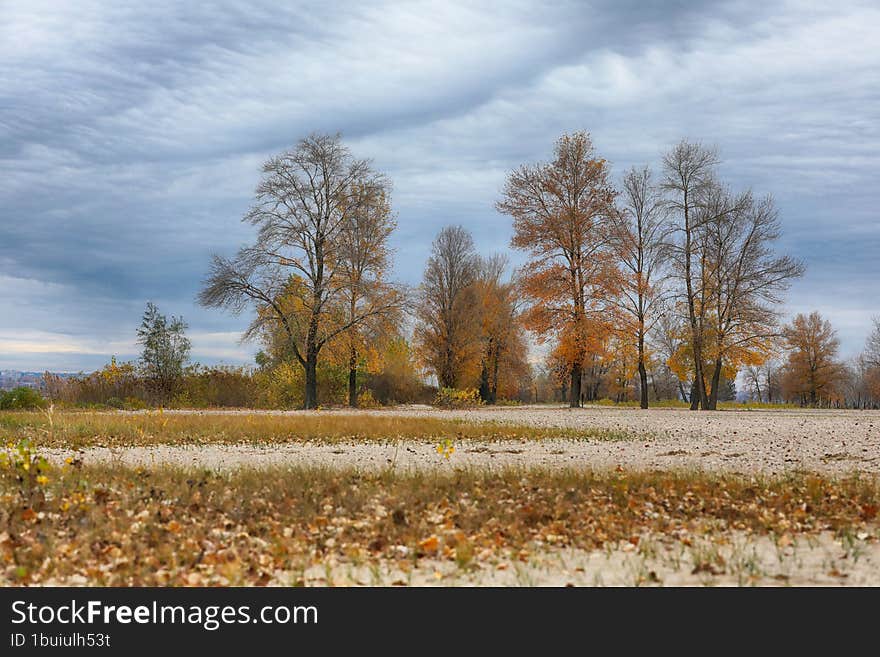 Autumn Landscape With Trees Out Of City