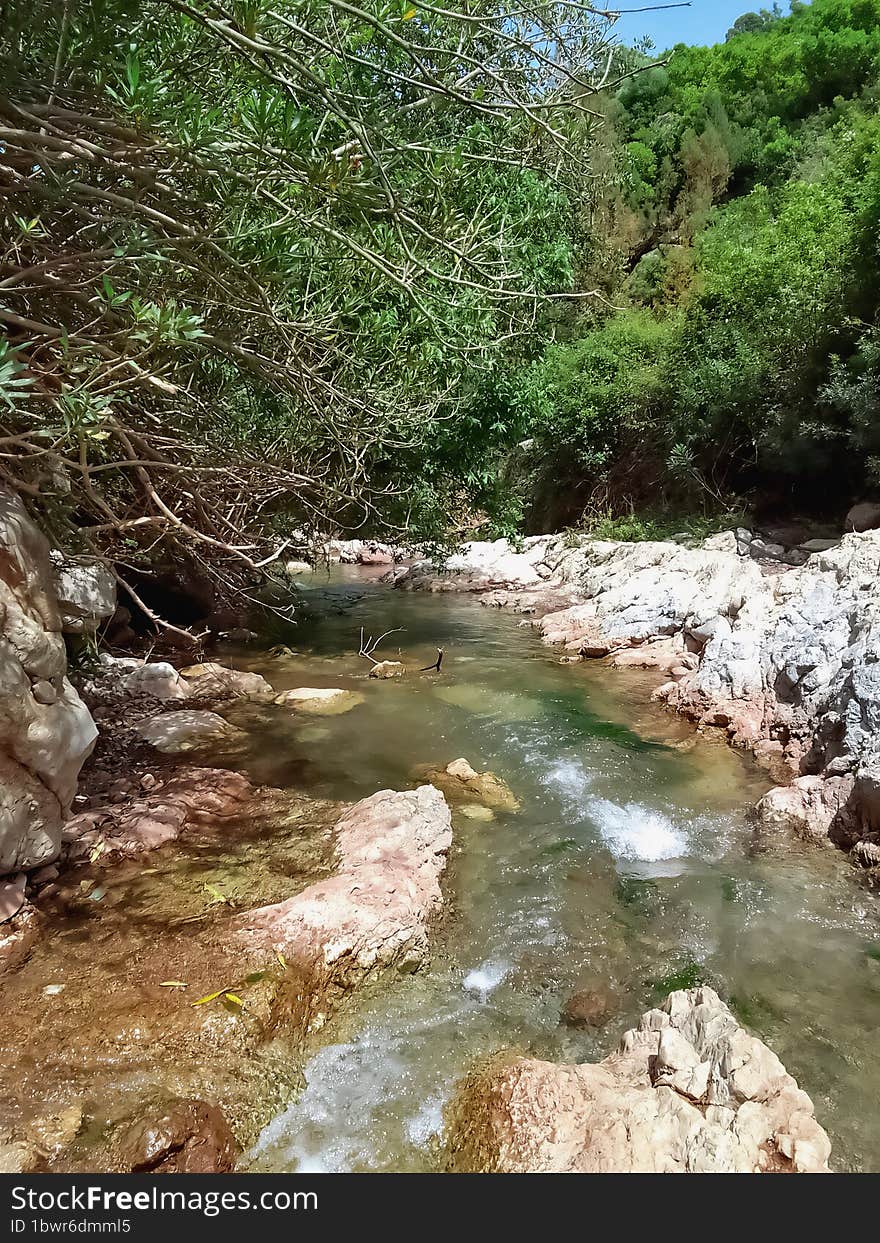 Serene summer stream valley a natural oasis amidst the summer heat