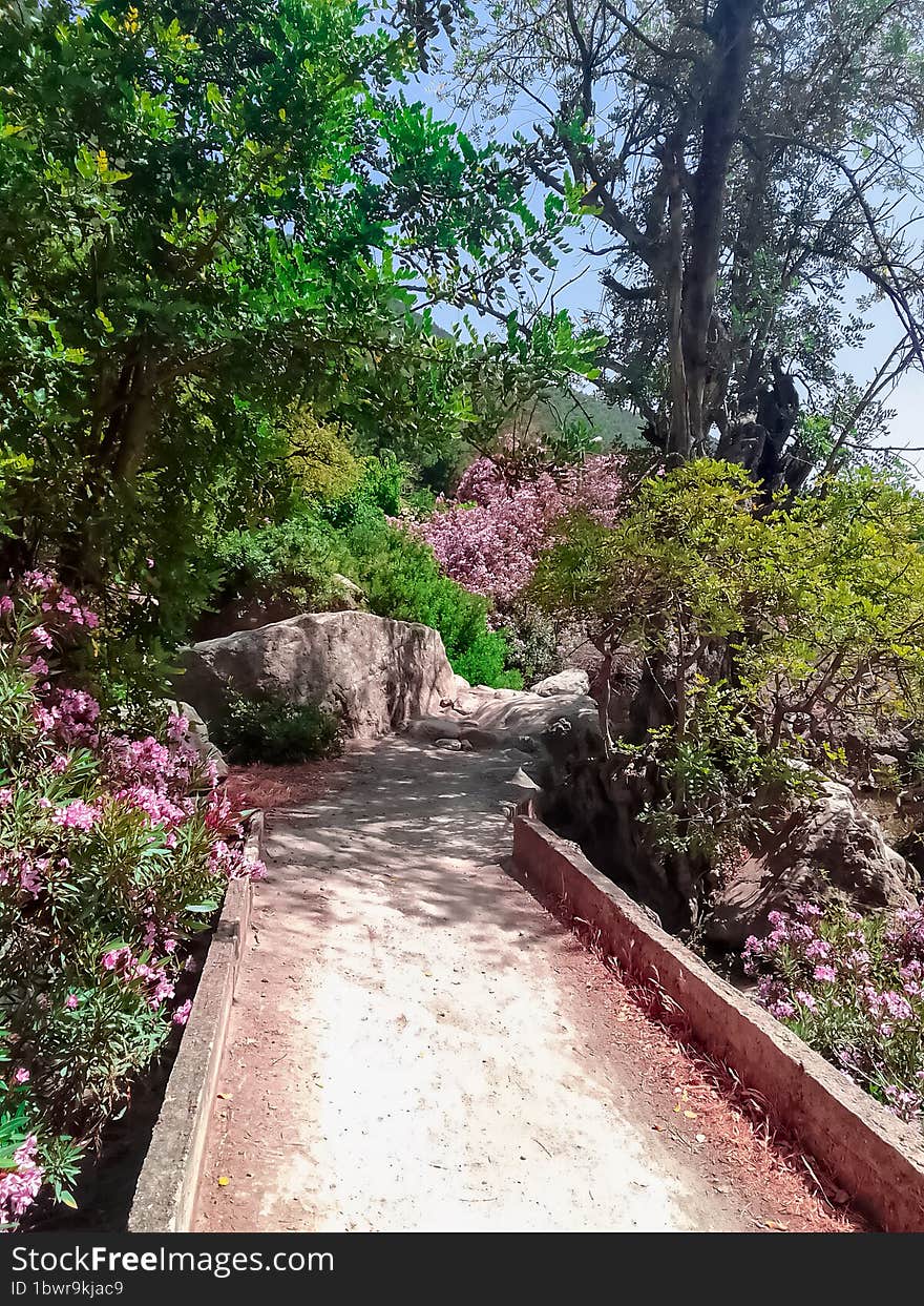 Small Bridge Over The Valley Among The Flowers