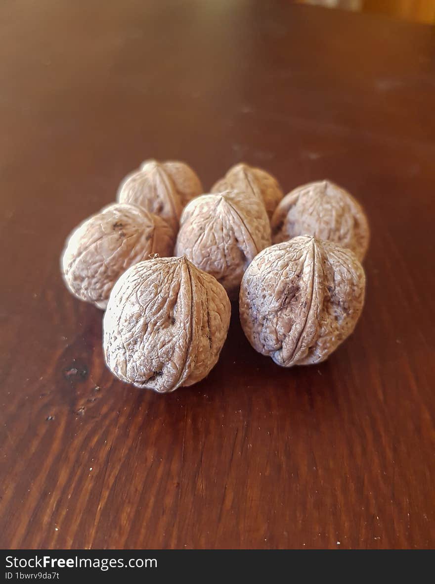 A view of walnut seeds a journey in cultivation and nutrition