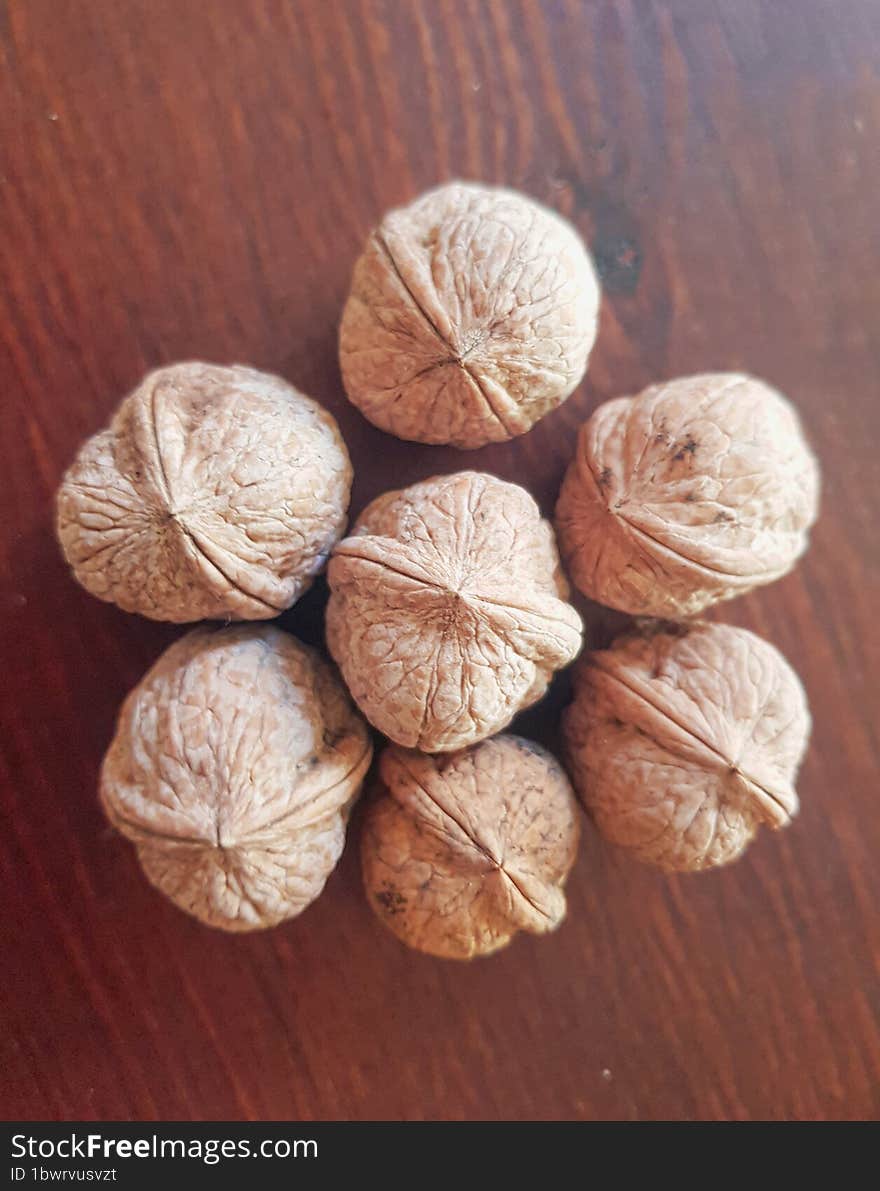 Walnut seeds unveiled exploring the fascinating world of walnut agriculture