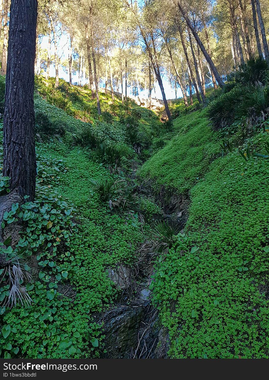 Discover The Perfect Rolling Green Grass For A Breathtaking Mountain