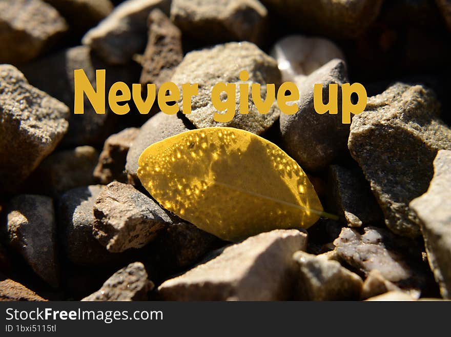 Never give up. Motivational phrases for every day, psychological support, success, positive thinking