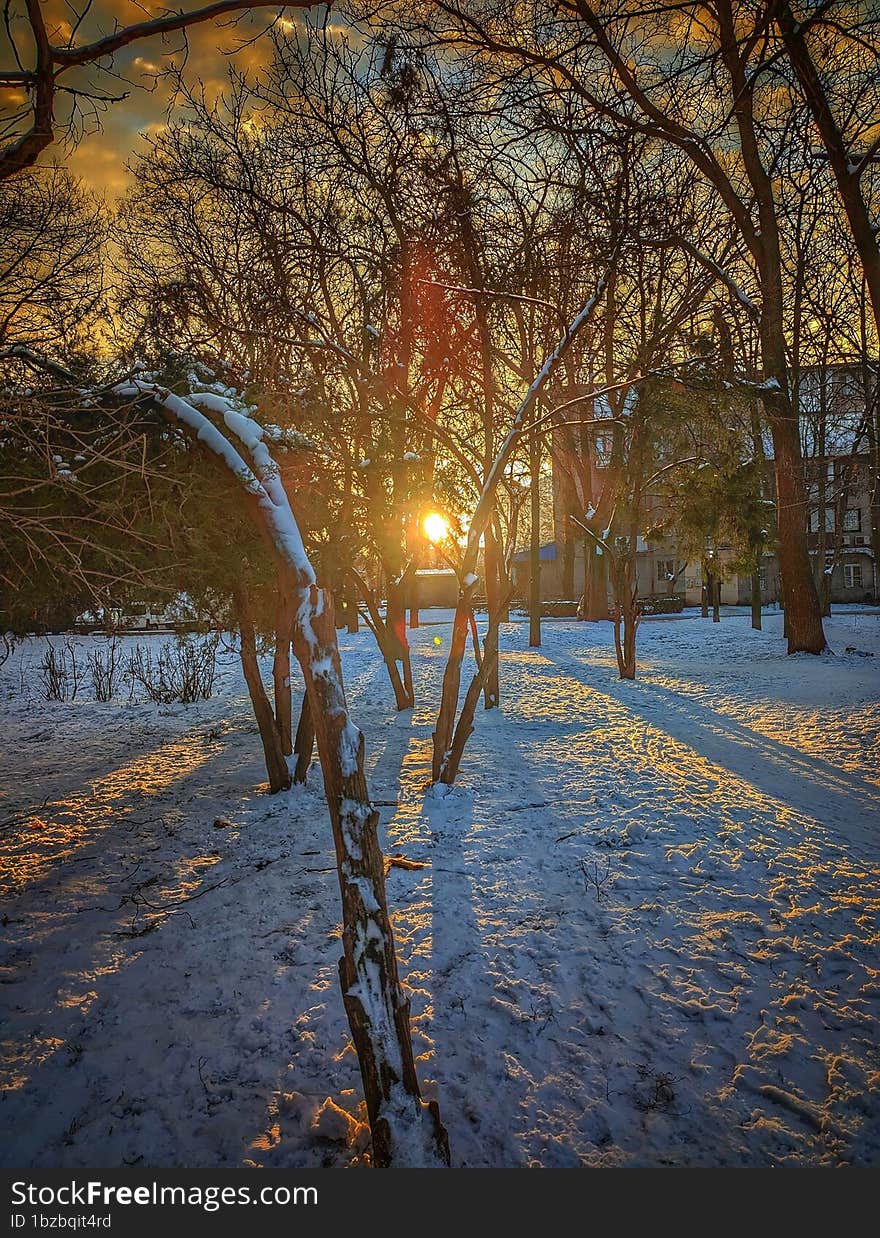 Odessa Gorky park in the winter