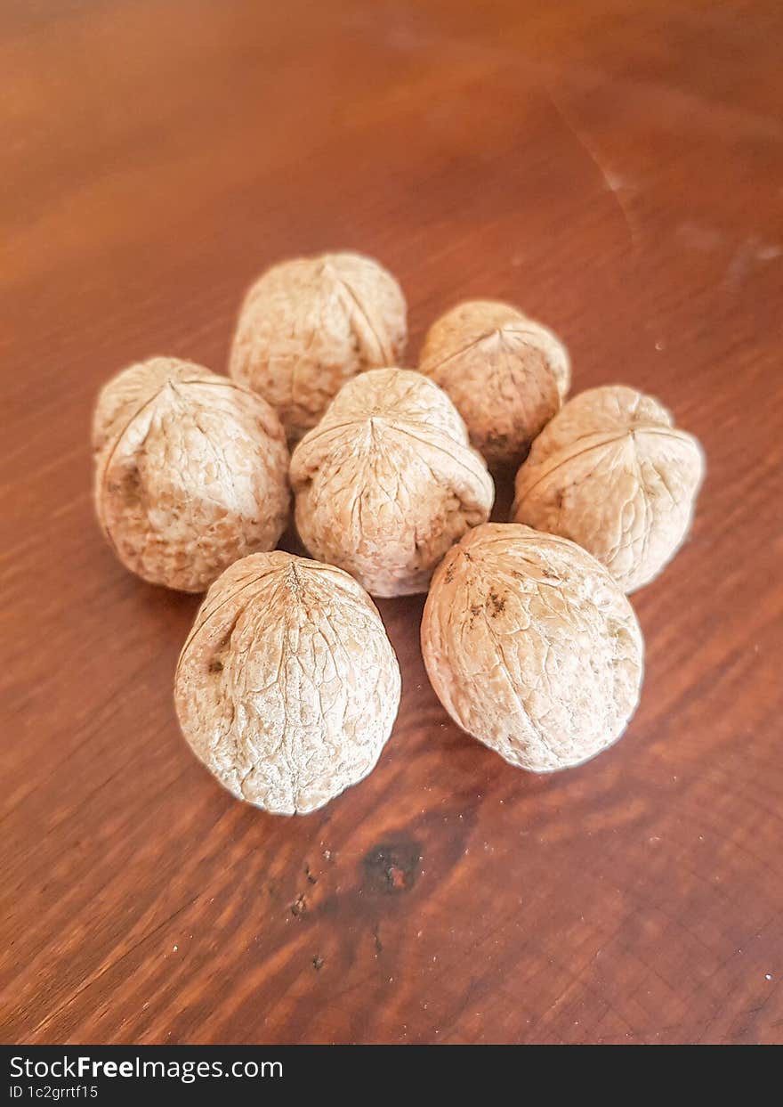 Journey Into The World Of Walnut Seeds