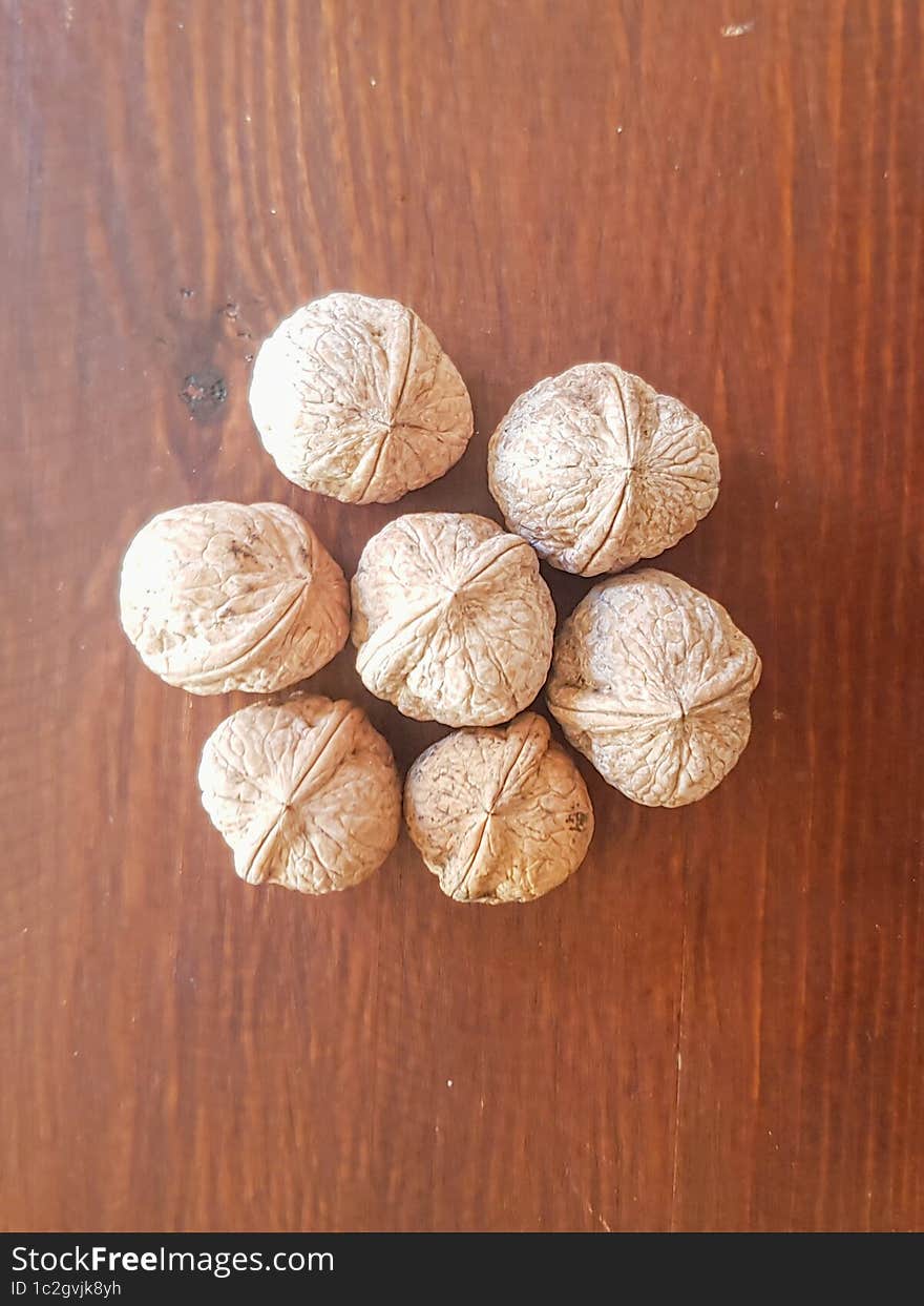 Discover the wonders of walnut seeds on a journey