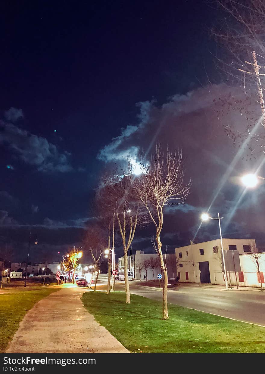 Nighttime view of a walkway is a beautiful scene