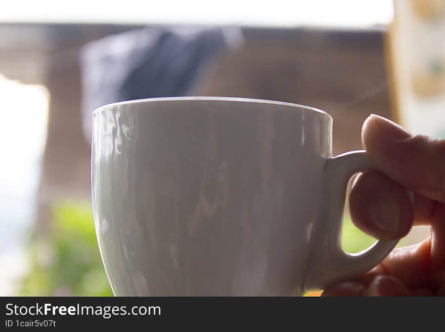 Hand holding a cup of coffee on the background of green garden. latino