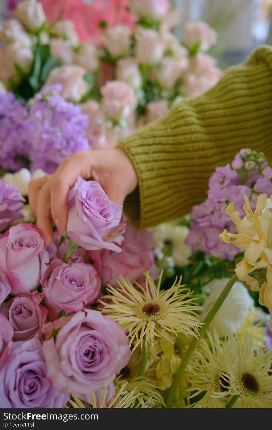 romantic flower mood rose Purple nature white woman flowershop. romantic flower mood rose Purple nature white woman flowershop