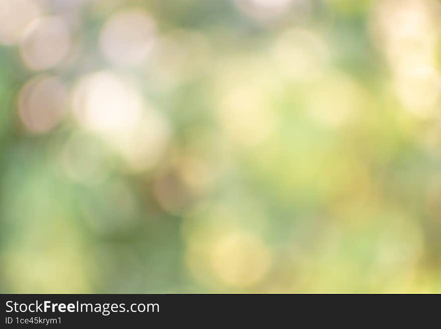 Green Bokeh Background From Nature Under Tree Shade For Your Design