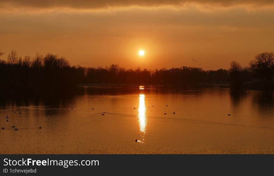 Beautiful orange sunset on the lake with golden sky and birds