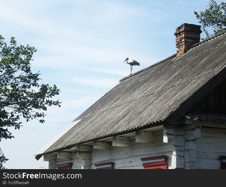 Stork on the roof of old wooden house