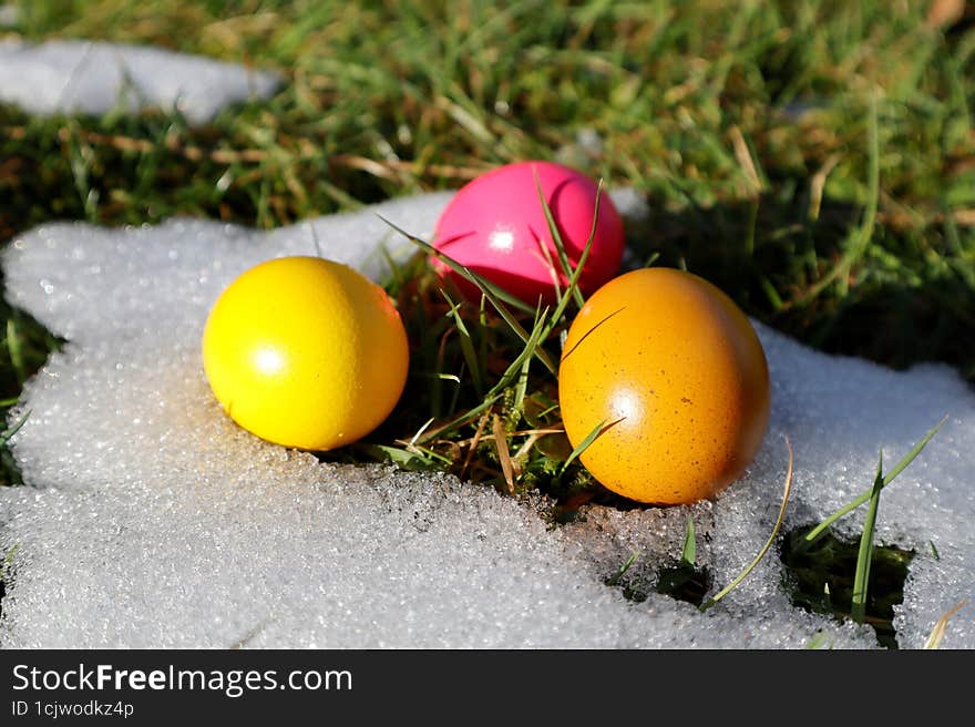 Early spring and Easter eggs. The snow seems to be melting from the heat of Easter eggs. Green grass is already appearing under the snow.