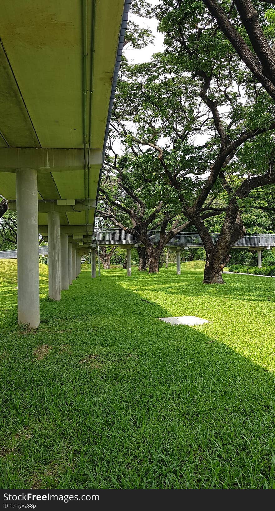 footbridge shadow on the green lawn & x28 portrait layout& x29