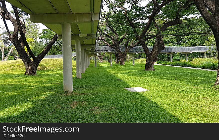 footbridge shadow on the green lawn & x28 landscape& x29