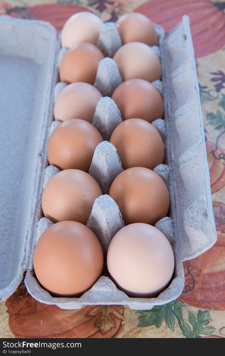 One dozen eggs in an egg carton