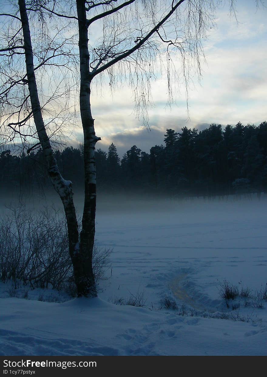 Beautiful view of a winter lake. A winter fog and lake create a dreamy scene.