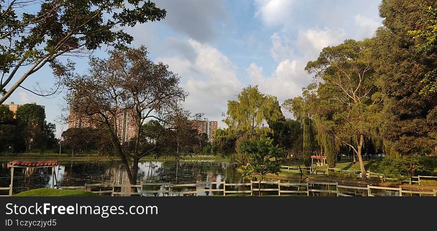 The Lake At The Park, Nature In Middle Of The City