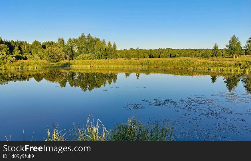 Small pond in the village