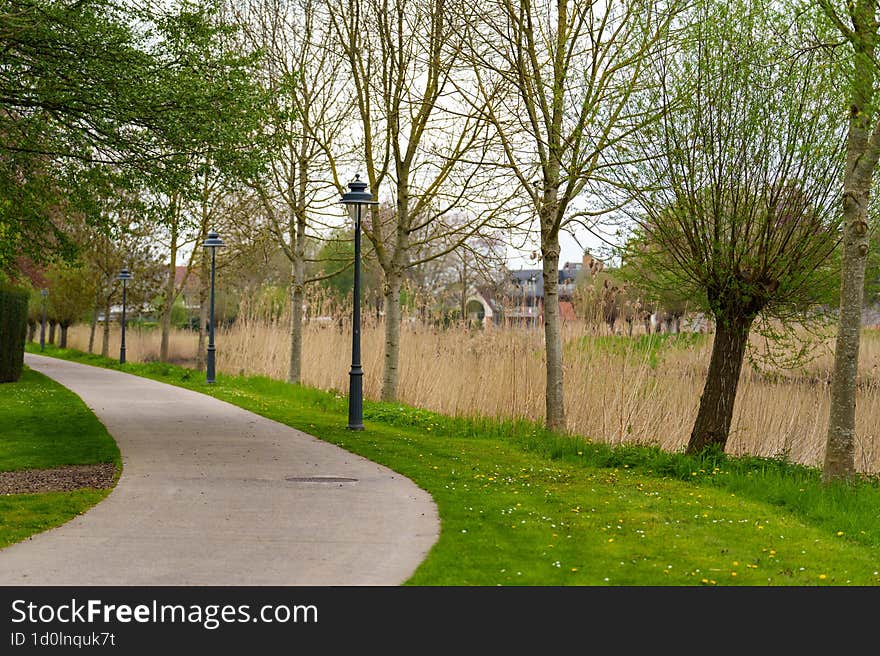 walking path in the park