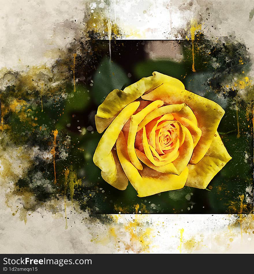 Watercolor painted beautiful yellow rose with old vintage paper background