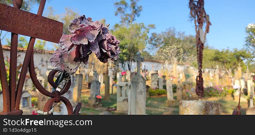 A dry rose in the cemetery in Barichara An open-air museum. On a natural space of trees, flowers and meadows, art, history and tradition are reflected.