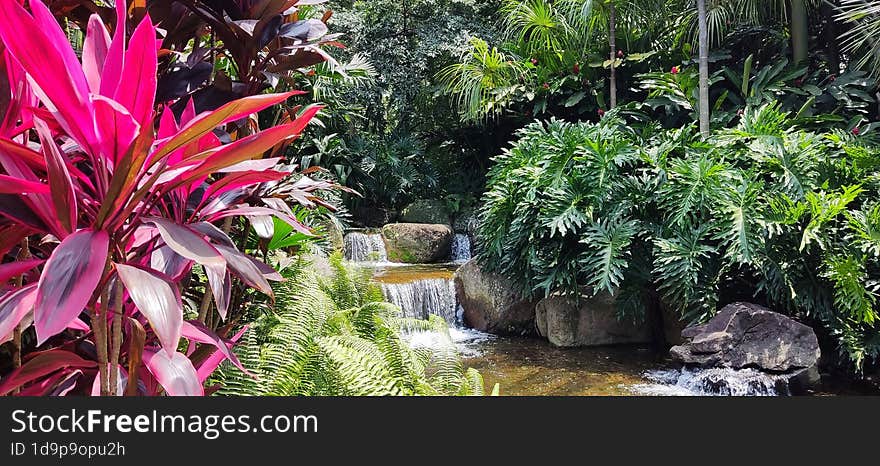 Nature, a small artificial water flow is surrounded by plants and flowers