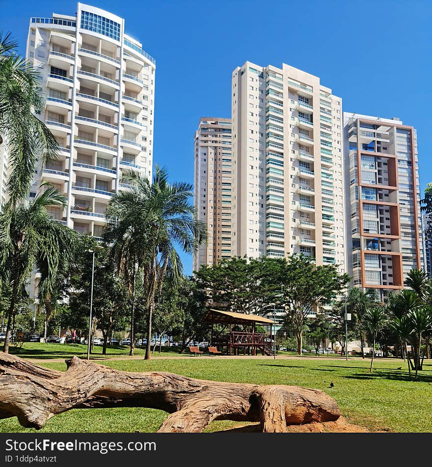 Living area with a wooden gazebo for children, a dead tree and residential buildings