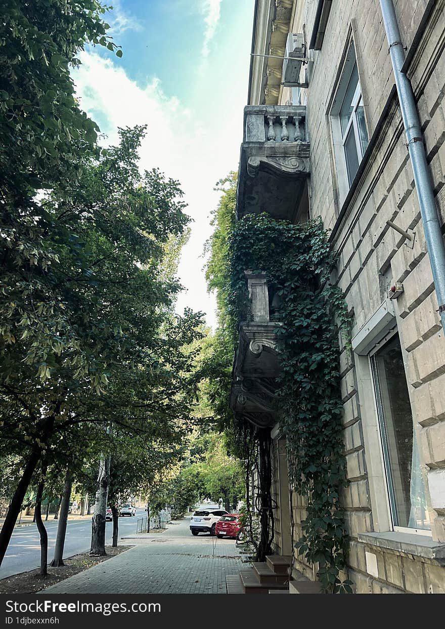 An old house with a big ivy on it. Summer city. Central street. Beautiful stone balconies.