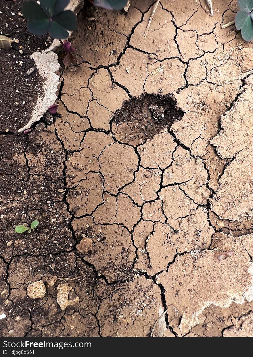 Top view of cracked dry soil. Arid place.