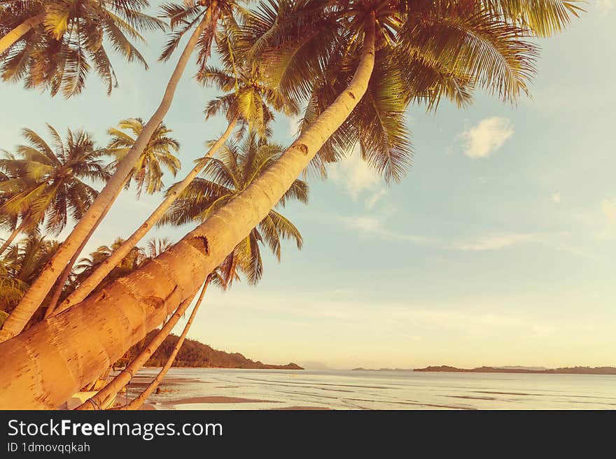 Beautiful Tropical Pacific Ocean Coast In Costa Rica