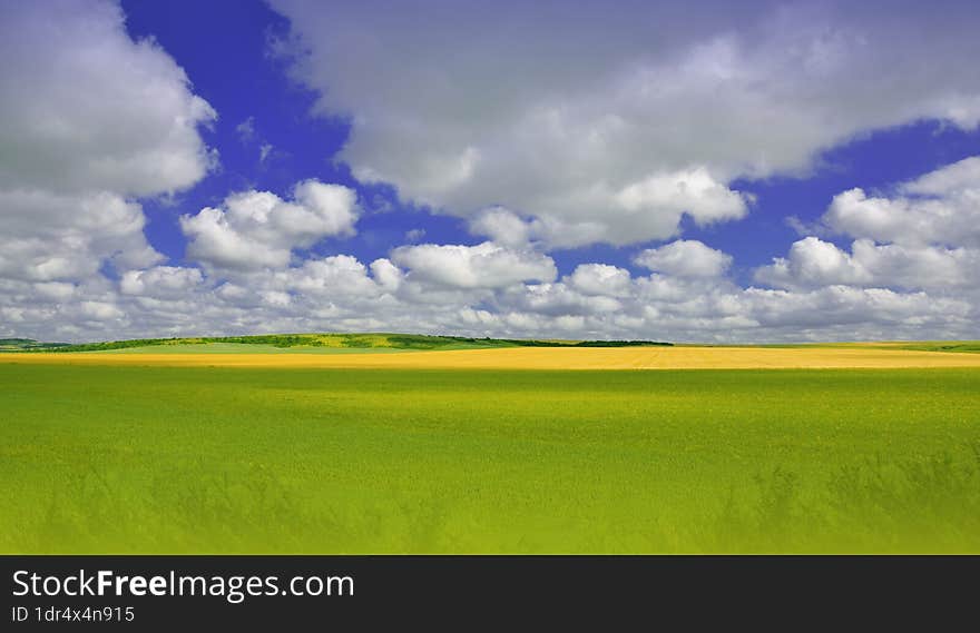 Wheat Field.Summer Green Landscape.Beautiful Nature Background.Artistic Wallpaper.Art Photography.Sky, clouds, sun.