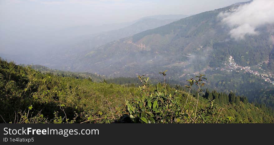 The mountain is surrounded by clouds and green trees, what a wonderful sight