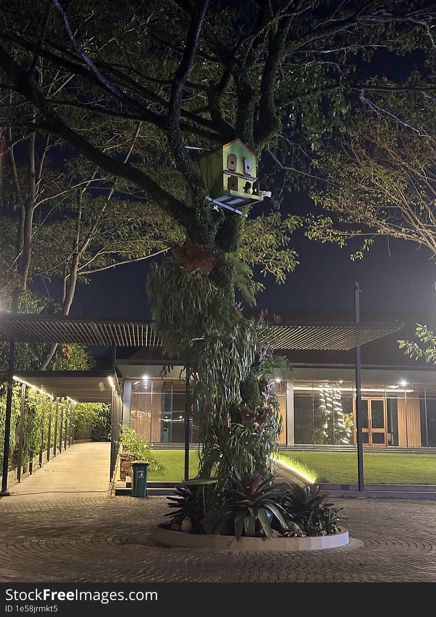 A Birdhouse On A Tree In Front Of A Villa