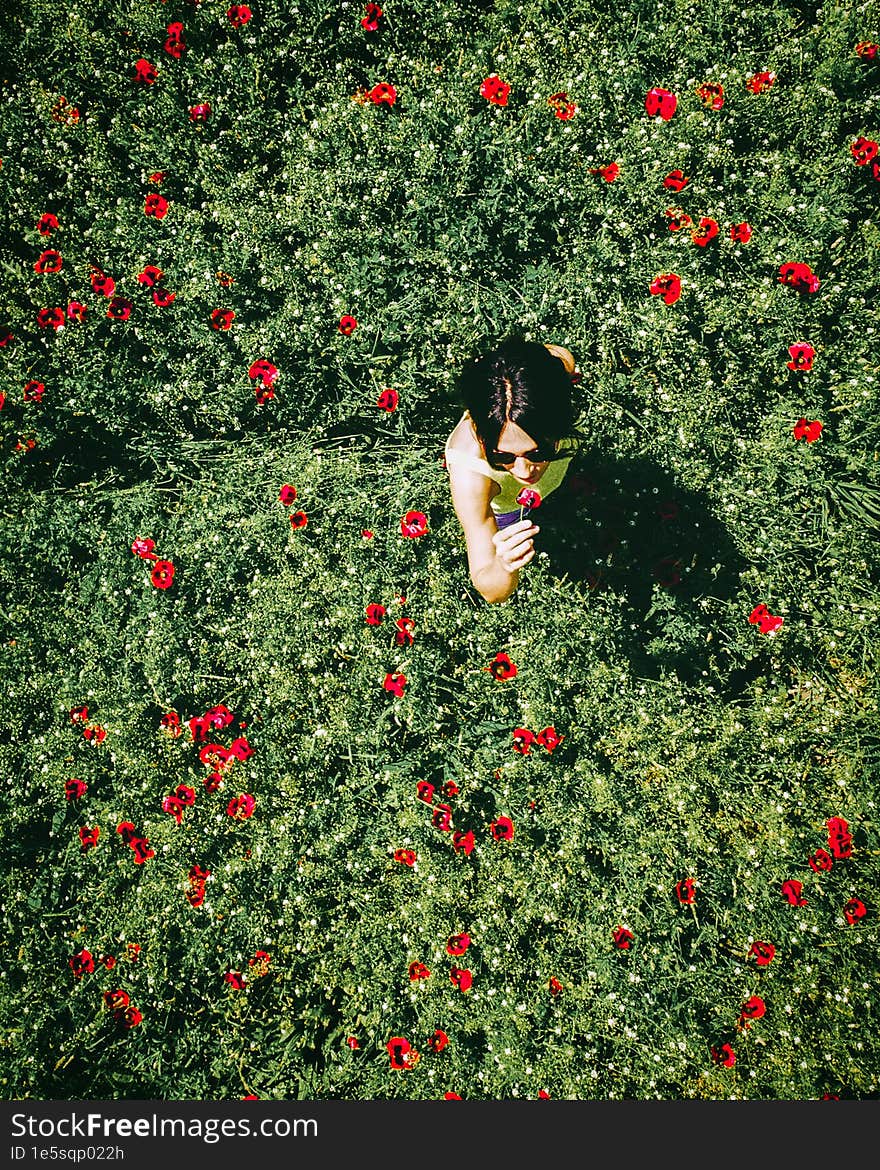 Top aerial girl smell flower in poppy field spring nature. Red green poppy flower field .Concept of woman wellness and freedom