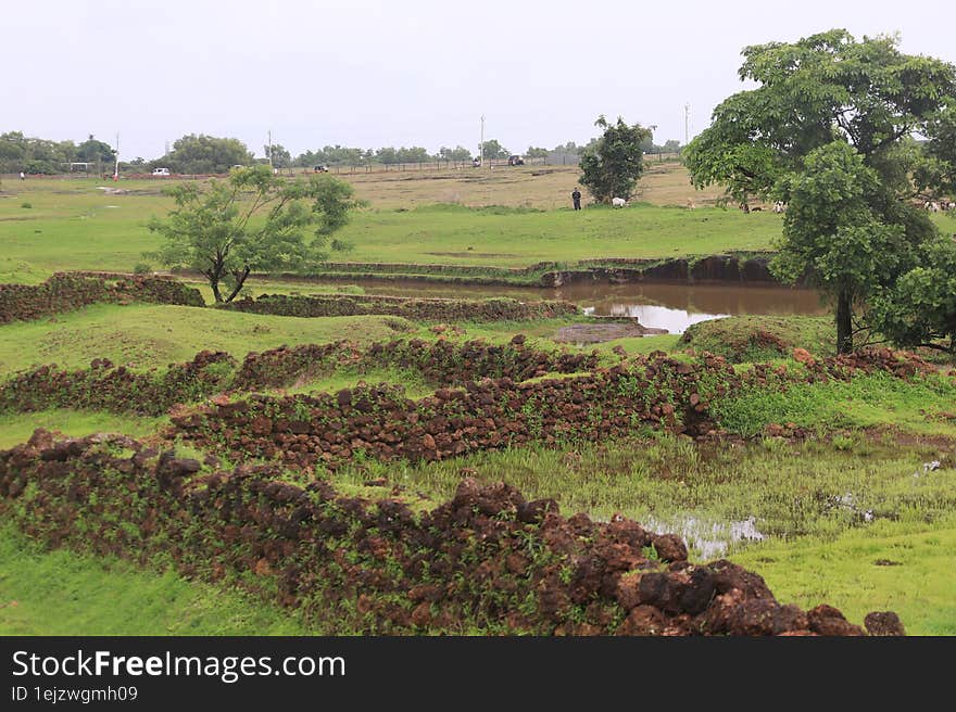 Laterite Hill